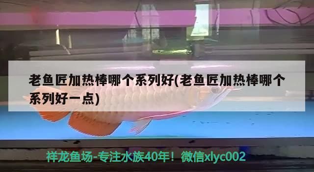 鸚鵡魚和銀龍魚混養怎樣喂食 老魚匠加熱棒哪個系列好(老魚匠加熱棒哪個系列好一點) 老魚匠 老魚匠加熱棒哪個系列好(老魚匠加熱棒哪個系列好一點) 老魚匠加熱棒哪個系列好(老魚匠加熱棒哪個系列好一點) 老魚匠