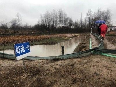 廣東觀賞魚鑒定機構有哪些（廣東地區觀賞魚鑒定機構）