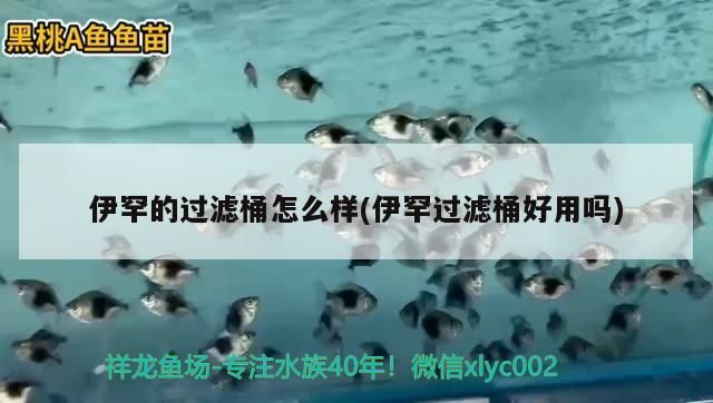 伊罕的過濾桶怎么樣(伊罕過濾桶好用嗎)