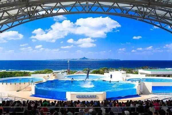 美麗海水族館門票（沖繩美麗海水族館門票價格）