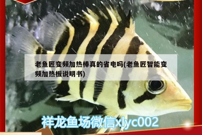 老魚匠變頻加熱棒真的省電嗎(老魚匠智能變頻加熱板說明書)