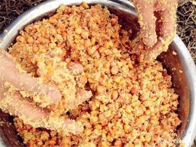 吉印爆藻燈能養水草嗎?（吉印爆藻燈能養水草嗎）