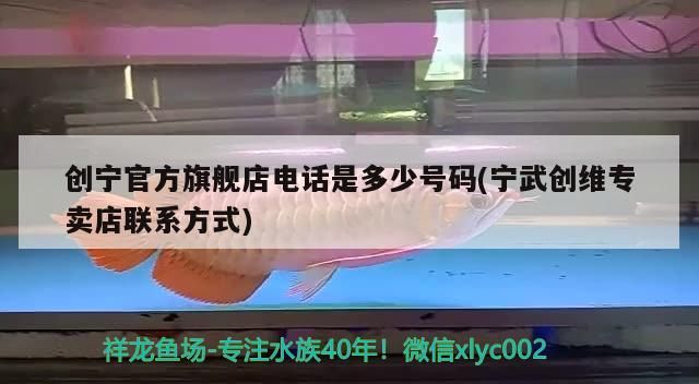 創寧官方旗艦店電話是多少號碼(寧武創維專賣店聯系方式) 創寧官方旗艦店電話是多少號碼(寧武創維專賣店聯系方式) 創寧水族