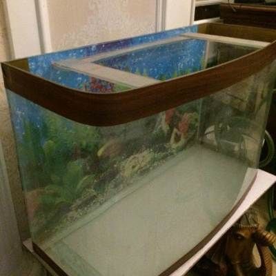 30厘米小魚缸簡單造景:30厘米小魚缸造景實例分享小魚缸造景實例分享 魚缸百科 第4張 30厘米小魚缸簡單造景:30厘米小魚缸造景實例分享小魚缸造景實例分享 30厘米小魚缸簡單造景:30厘米小魚缸造景實例分享小魚缸造景實例分享 魚缸百科 第4張
