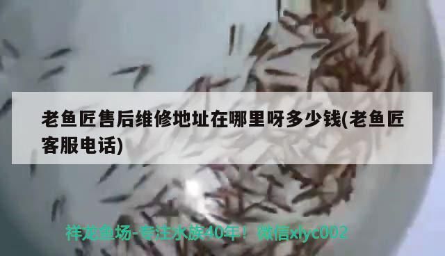 老魚匠售后維修地址在哪里呀多少錢(老魚匠客服電話)