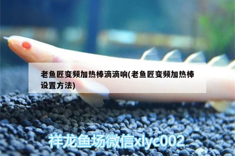 老魚匠變頻加熱棒滴滴響(老魚匠變頻加熱棒設置方法)