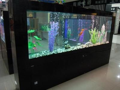 50厘米的魚缸多少錢一個啊：50厘米魚缸價格范圍