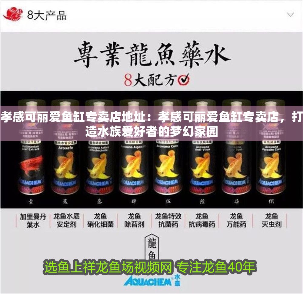 孝感可麗愛魚缸專賣店地址：孝感可麗愛魚缸專賣店，打造水族愛好者的夢幻家園