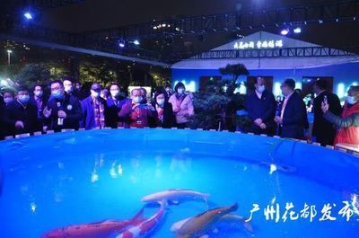 2024廣州世界觀賞魚珍品大觀：2020年廣州世界觀賞魚珍品大觀