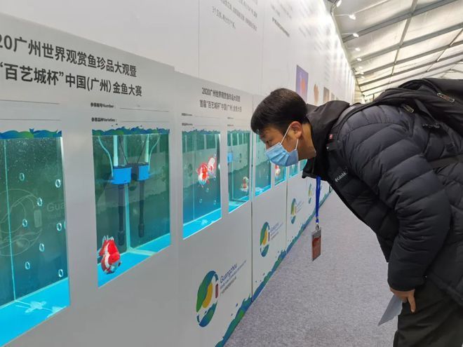 2024廣州世界觀賞魚珍品大觀：2020年廣州世界觀賞魚珍品大觀