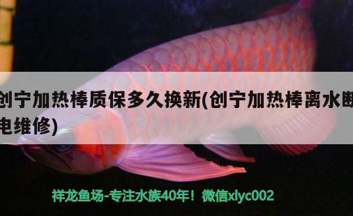 創寧加熱棒質保多久換新(創寧加熱棒離水斷電維修)