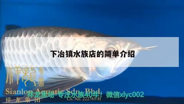 下冶鎮水族店的簡單介紹