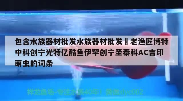 紅龍魚用黃燈烤有用嗎 包含水族器材批發水族器材批發?老漁匠博特中科創寧光特億酷魚伊罕創寧圣泰科AC吉印萌蟲的詞條 伊罕水族 包含水族器材批發水族器材批發?老漁匠博特中科創寧光特億酷魚伊罕創寧圣泰科AC吉印萌蟲的詞條 包含水族器材批發水族器材批發?老漁匠博特中科創寧光特億酷魚伊罕創寧圣泰科AC吉印萌蟲的詞條 伊罕水族