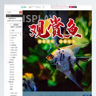 金龍魚市場競爭優(yōu)勢探究：如何應(yīng)對(duì)金龍魚市場競爭優(yōu)勢