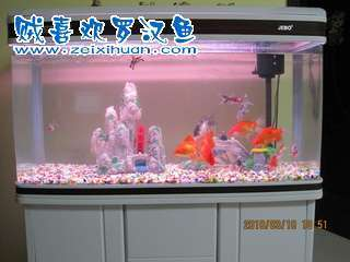 伊罕官方（伊罕官方授權店）
