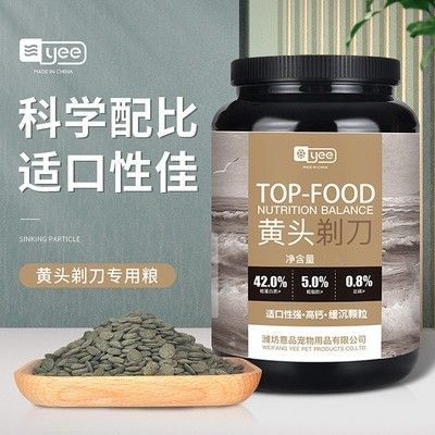 豬鼻龜批發