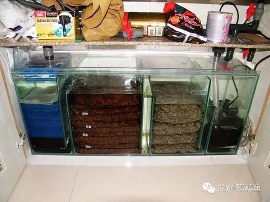 老魚匠殺菌燈教程圖片（老魚匠殺菌燈教程圖片大全）