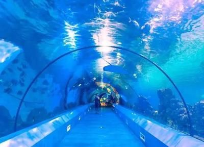 水族館生意怎么樣(開設水族館的成本主要包括以下幾個方面,水族館行業不斷發展壯大) 水族館百科(水族館加盟) 第5張 水族館生意怎么樣(開設水族館的成本主要包括以下幾個方面,水族館行業不斷發展壯大) 水族館生意怎么樣(開設水族館的成本主要包括以下幾個方面,水族館行業不斷發展壯大) 水族館百科(水族館加盟) 第5張