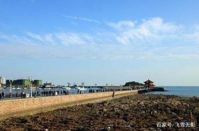 水族館游玩日記500字：探索海洋奇觀