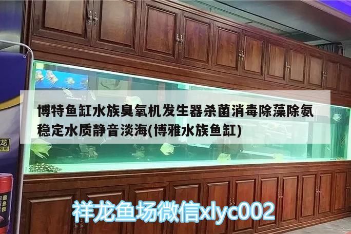 博特魚缸水族臭氧機發生器殺菌消毒除藻除氨穩定水質靜音淡海(博雅水族魚缸)
