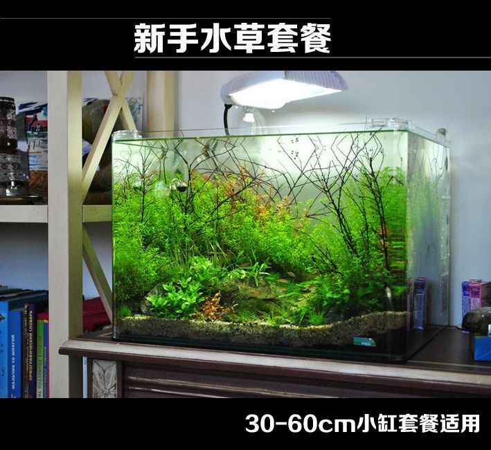 60的魚缸放多少陶瓷環：60厘米的魚缸應該放置多少陶瓷環