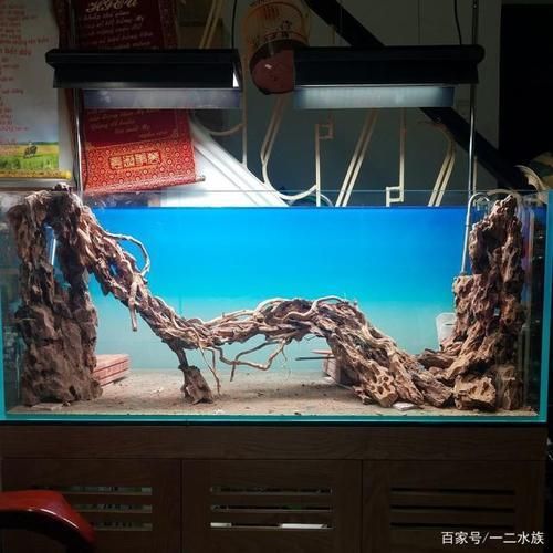 魚缸用增氧泵價格是多少:魚缸增氧機-xtrac增氧機-xtrac增氧機 魚缸過濾器很吵(魚缸過濾器很吵怎么辦) 觀賞魚百科 魚缸過濾器很吵(魚缸過濾器很吵怎么辦) 魚缸過濾器很吵(魚缸過濾器很吵怎么辦) 觀賞魚百科
