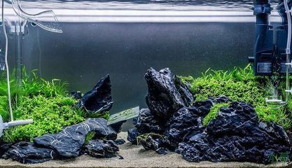 40厘米的魚缸造景圖：40厘米魚缸造景圖的信息：魚缸造景圖的信息和技巧 40厘米的魚缸造景圖：40厘米魚缸造景圖的信息：魚缸造景圖的信息和技巧 魚缸百科 第4張