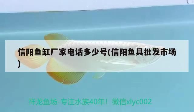 信陽魚缸廠家電話多少號(信陽魚具批發市場)