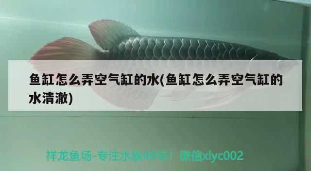 魚缸怎么弄空氣缸的水(魚缸怎么弄空氣缸的水清澈)