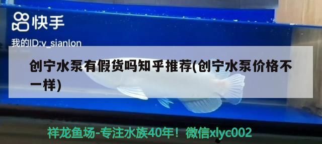 創寧水泵有假貨嗎知乎推薦(創寧水泵價格不一樣)