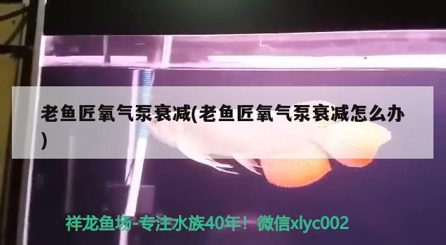 老魚匠氧氣泵衰減(老魚匠氧氣泵衰減怎么辦)