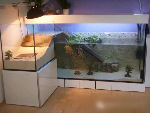 魚缸上水管漏水怎么辦（魚缸上水管漏水怎么辦視頻）