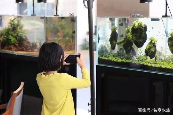 開家水族館利潤怎么樣啊多少錢（開家水族館的利潤和成本取決于多個因素取決于多個因素）