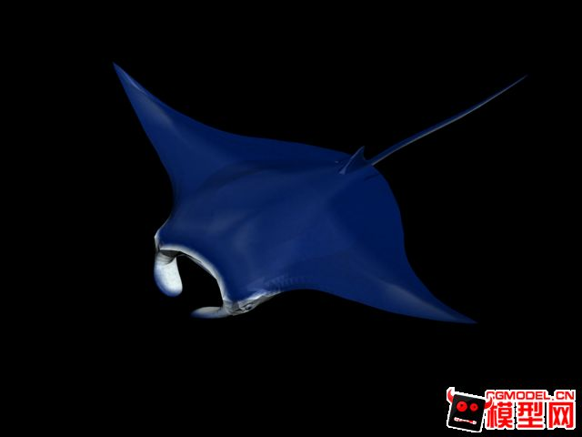 魔鬼魚(yú)魟魚(yú)為什么沒(méi)有滅絕：魔鬼魚(yú)和蝠[需手動(dòng)填充]為什么沒(méi)有滅絕？