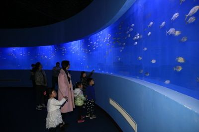 水族館發(fā)展前景：中國水族館行業(yè)發(fā)展趨勢分析 水族館發(fā)展前景：中國水族館行業(yè)發(fā)展趨勢分析 水族館百科（水族館加盟） 第3張