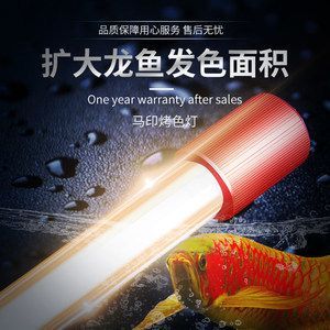 馬印發色燈和烤色燈哪個好用：馬印發色燈和烤色燈各有其優勢和用途 馬印發色燈和烤色燈哪個好用：馬印發色燈和烤色燈各有其優勢和用途 馬印水族 第2張