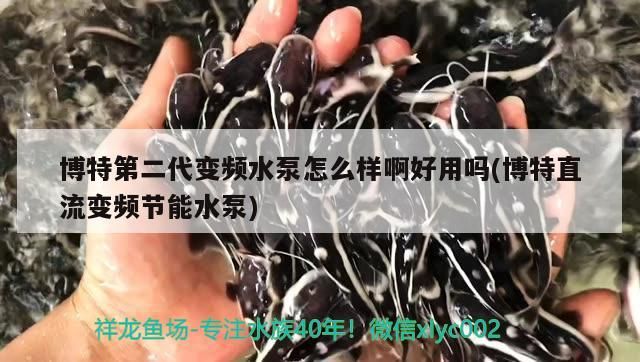 博特第二代變頻水泵怎么樣啊好用嗎(博特直流變頻節(jié)能水泵)