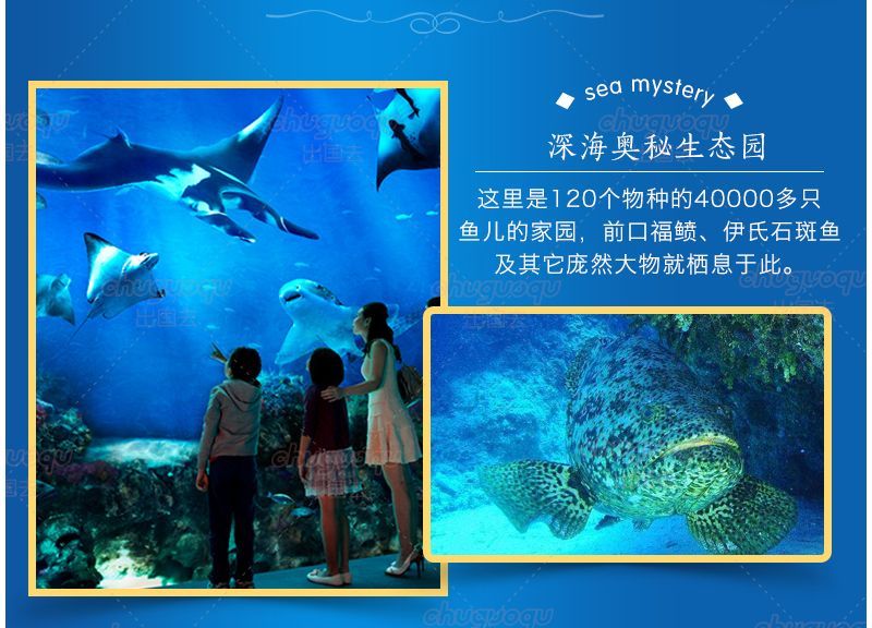 水族館有什么魚詳細介紹圖片（水族館中展示的魚類有哪些？）