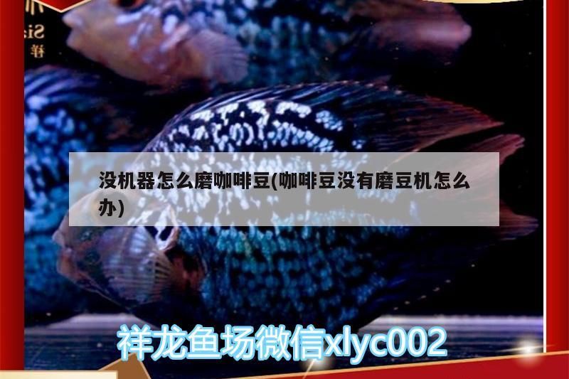 沒機器怎么磨咖啡豆(咖啡豆沒有磨豆機怎么辦)
