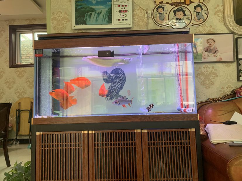 魚缸頂燈兩根吉印刀鋒燈