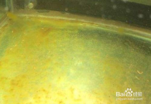 水一直爆氧會提高pH值嗎？深入探討氧氣對水體酸堿度的影響，氧氣曝氣對水體pH值的影響機制解析