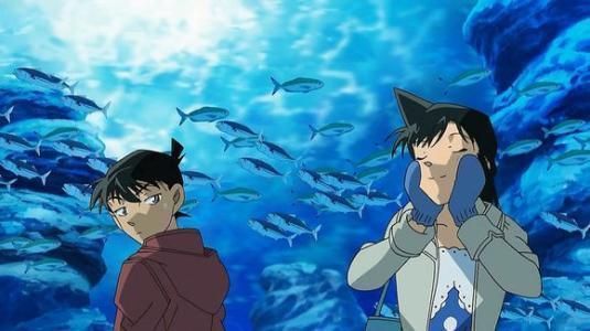 水族館又叫什么（青島水族館是一個多功能的機構）