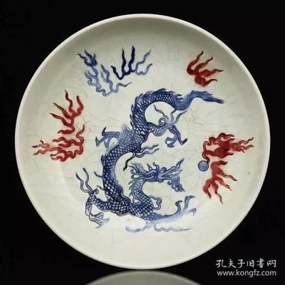 祥龍水族實體店優惠活動（祥龍水族實體店優惠信息）