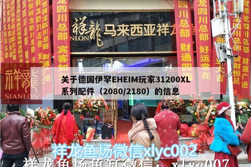 關于德國伊罕EHEIM玩家31200XL系列配件（2080/2180）的信息 關于德國伊罕EHEIM玩家31200XL系列配件（2080/2180）的信息 伊罕水族