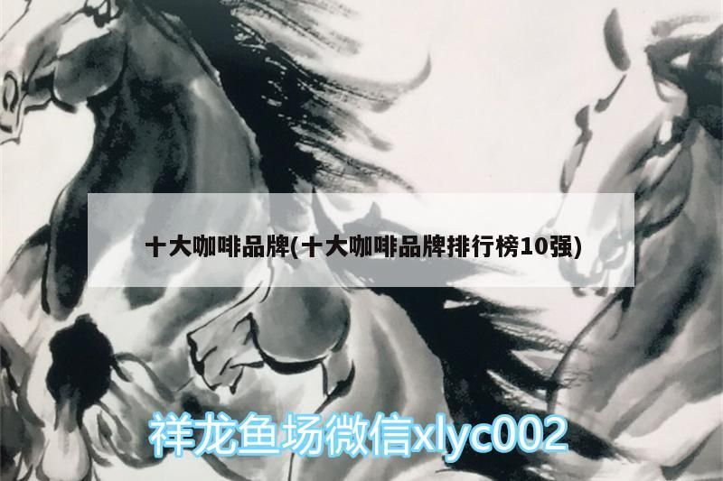 十大咖啡品牌(十大咖啡品牌排行榜10強)