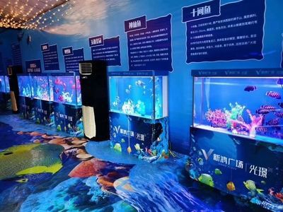 水族館特點：上海海洋水族館科研成果有哪些應用水族館互動體驗項目介紹