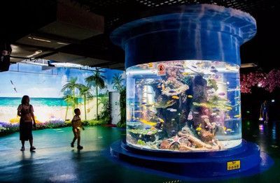 水族館特點：上海海洋水族館科研成果有哪些應用水族館互動體驗項目介紹
