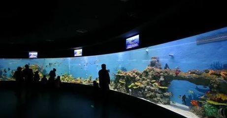 水族館特點：上海海洋水族館科研成果有哪些應用水族館互動體驗項目介紹