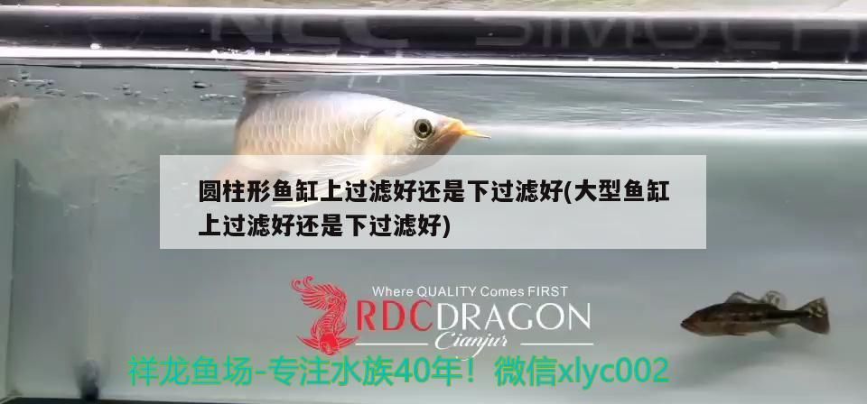 圓柱形魚缸上過濾好還是下過濾好(大型魚缸上過濾好還是下過濾好)