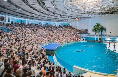 開水族館需要辦什么證件嗎：開設(shè)水族館需要辦理一系列的證件以確保合法經(jīng)營(yíng)